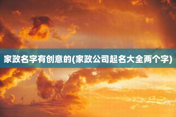 家政名字有创意的(家政公司起名大全两个字)