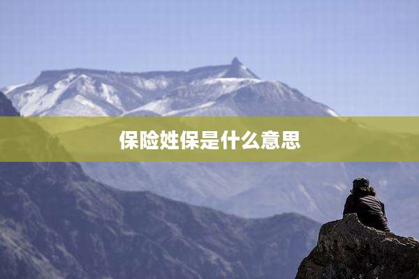 保险姓保是什么意思