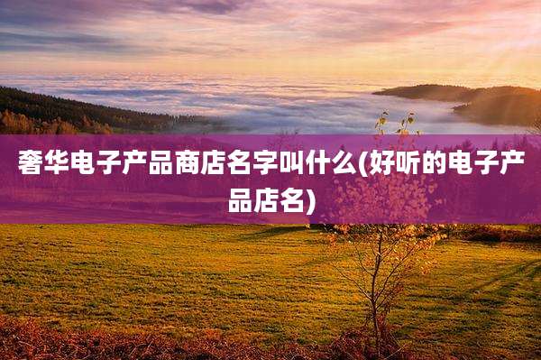 奢华电子产品商店名字叫什么(好听的电子产品店名)