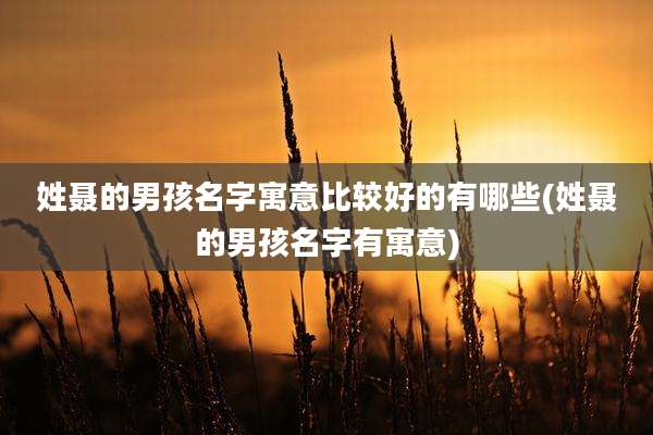 姓聂的男孩名字寓意比较好的有哪些(姓聂的男孩名字有寓意)