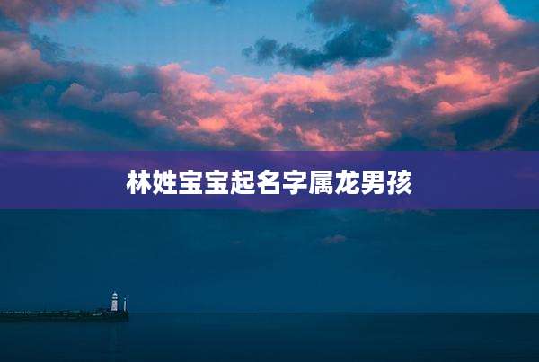 林姓宝宝起名字属龙男孩