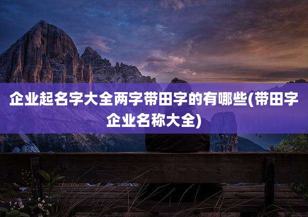 企业起名字大全两字带田字的有哪些(带田字企业名称大全)
