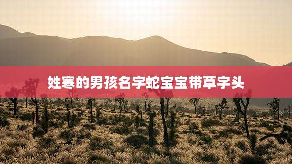 姓寒的男孩名字蛇宝宝带草字头