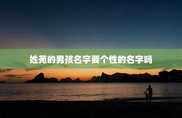 姓苑的男孩名字要个性的名字吗