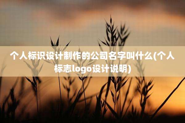 个人标识设计制作的公司名字叫什么(个人标志logo设计说明)