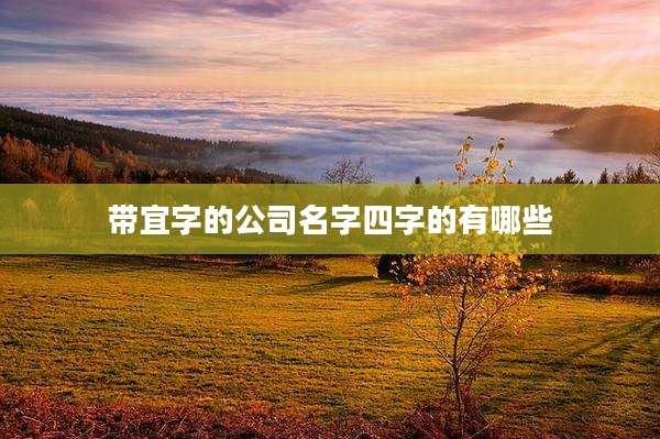 带宜字的公司名字四字的有哪些