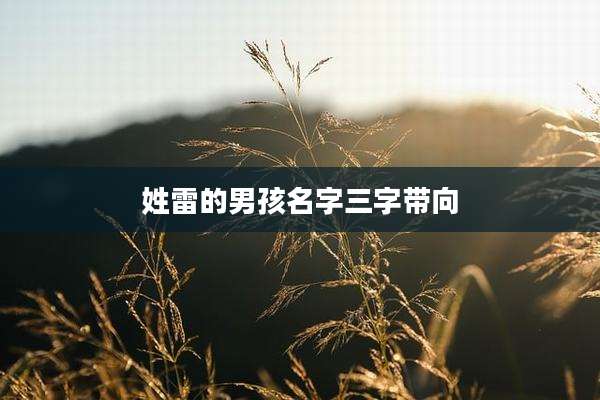 姓雷的男孩名字三字带向