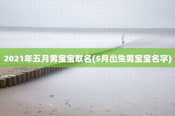 2021年五月男宝宝取名(5月出生男宝宝名字)