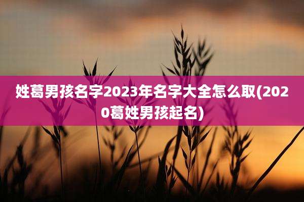 姓葛男孩名字2023年名字大全怎么取(2020葛姓男孩起名)