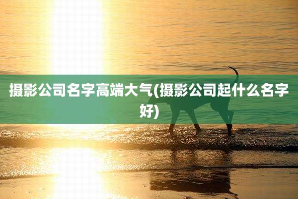 摄影公司名字高端大气(摄影公司起什么名字好)