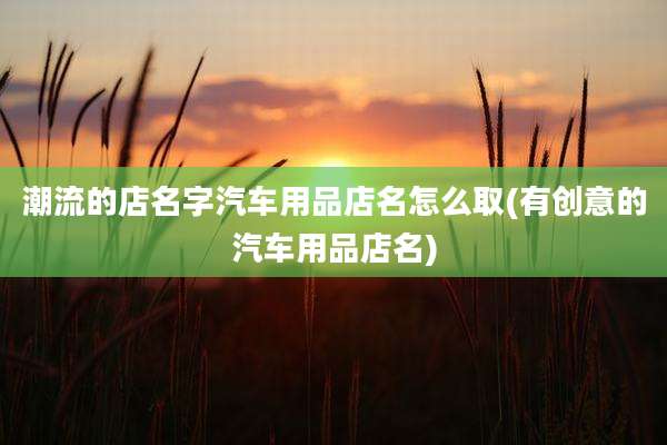 潮流的店名字汽车用品店名怎么取(有创意的汽车用品店名)