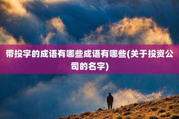 带投字的成语有哪些成语有哪些(关于投资公司的名字)