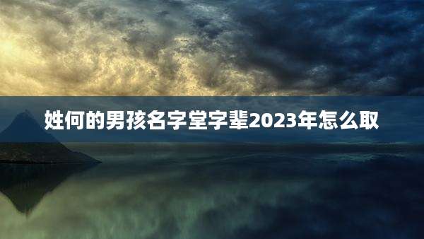 姓何的男孩名字堂字辈2023年怎么取