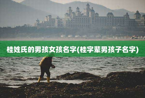 桂姓氏的男孩女孩名字(桂字辈男孩子名字)