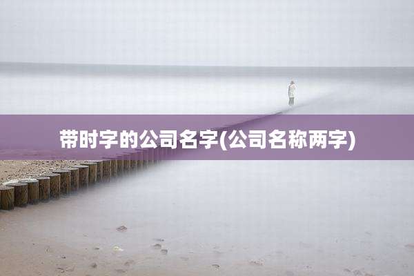 带时字的公司名字(公司名称两字)