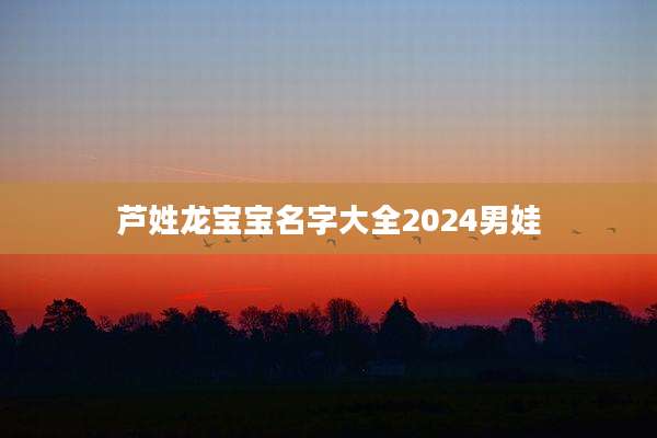 芦姓龙宝宝名字大全2024男娃