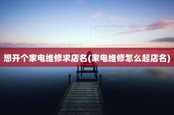 想开个家电维修求店名(家电维修怎么起店名)