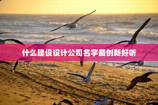 什么建设设计公司名字最创新好听
