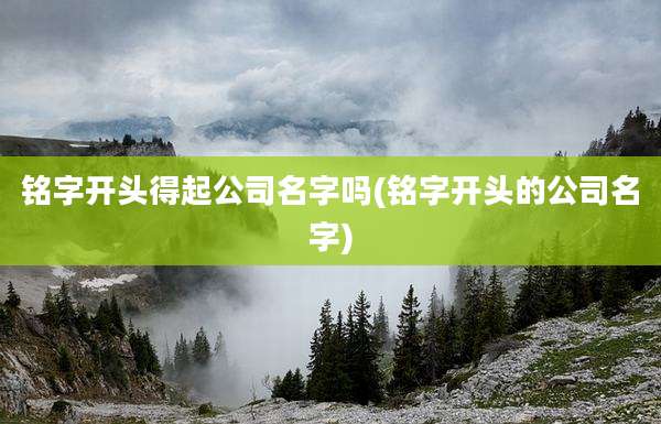 铭字开头得起公司名字吗(铭字开头的公司名字)