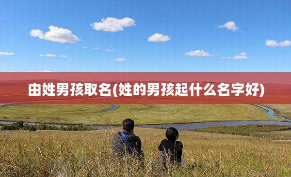 由姓男孩取名(姓的男孩起什么名字好)