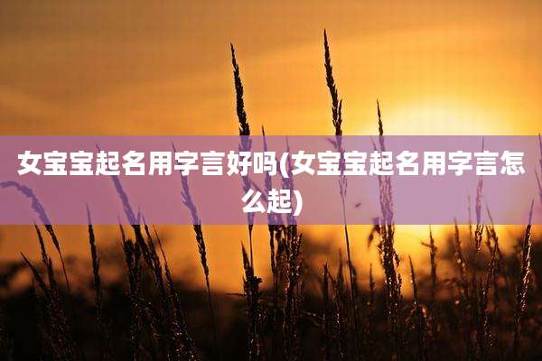 女宝宝起名用字言好吗(女宝宝起名用字言怎么起)