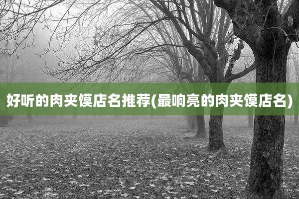 好听的肉夹馍店名推荐(最响亮的肉夹馍店名)