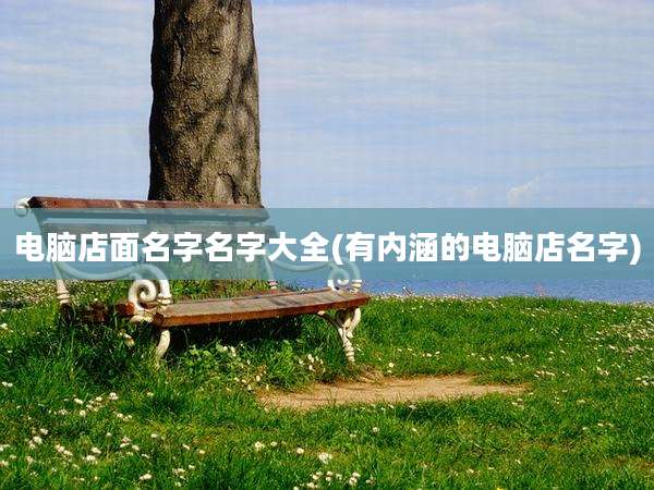 电脑店面名字名字大全(有内涵的电脑店名字)
