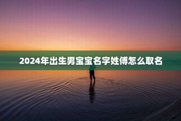 2024年出生男宝宝名字姓傅怎么取名
