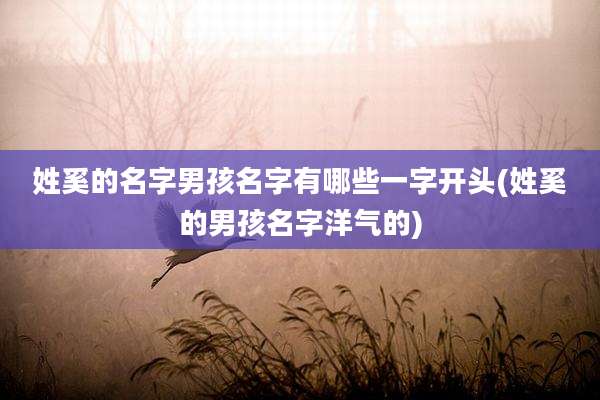 姓奚的名字男孩名字有哪些一字开头(姓奚的男孩名字洋气的)