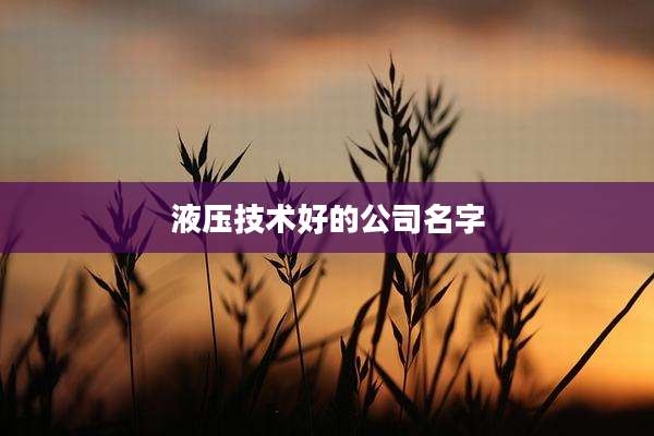 液压技术好的公司名字