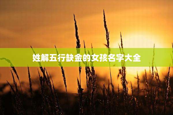 姓解五行缺金的女孩名字大全
