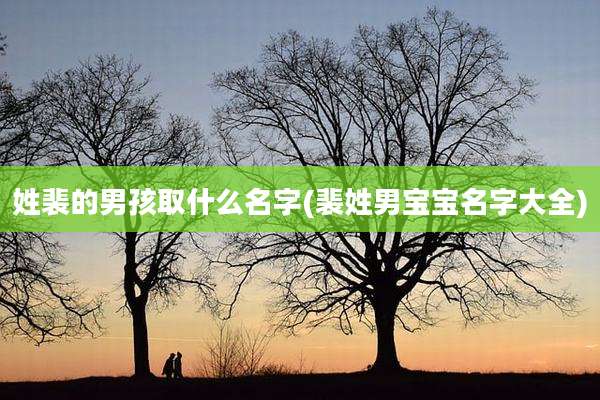 姓裴的男孩取什么名字(裴姓男宝宝名字大全)