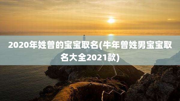 2020年姓曾的宝宝取名(牛年曾姓男宝宝取名大全2021款)