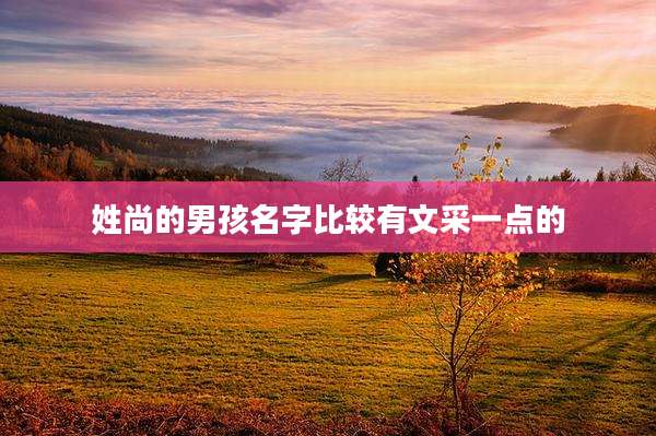姓尚的男孩名字比较有文采一点的
