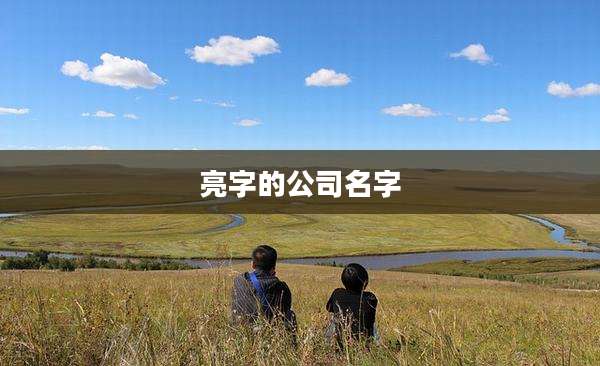 亮字的公司名字