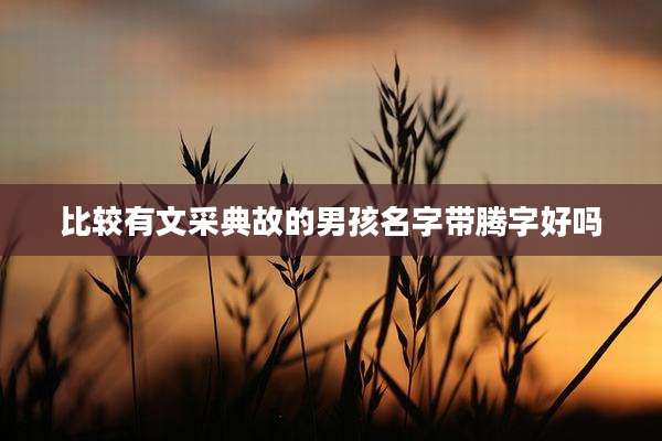 比较有文采典故的男孩名字带腾字好吗