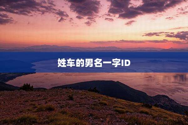 姓车的男名一字ID