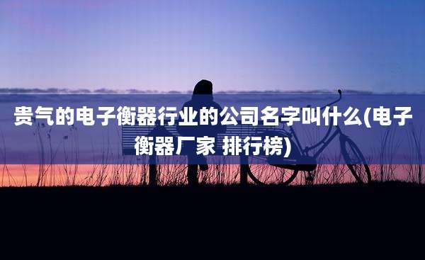 贵气的电子衡器行业的公司名字叫什么(电子衡器厂家 排行榜)