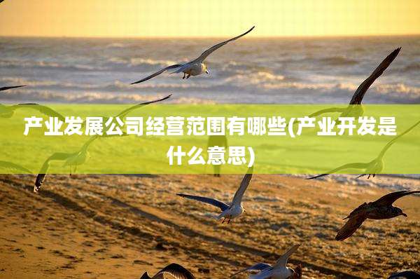 产业发展公司经营范围有哪些(产业开发是什么意思)