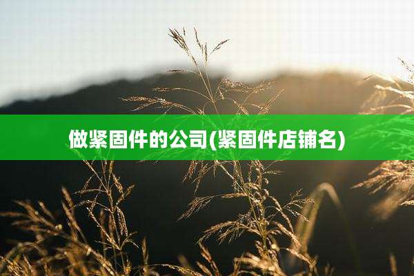 做紧固件的公司(紧固件店铺名)