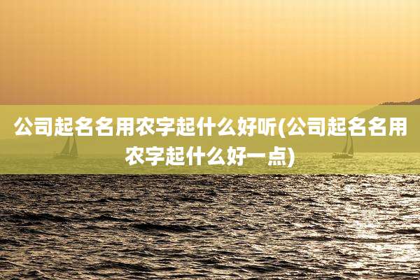 公司起名名用农字起什么好听(公司起名名用农字起什么好一点)