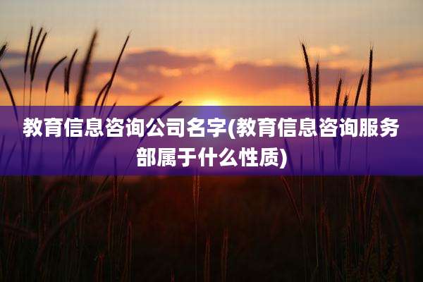 教育信息咨询公司名字(教育信息咨询服务部属于什么性质)