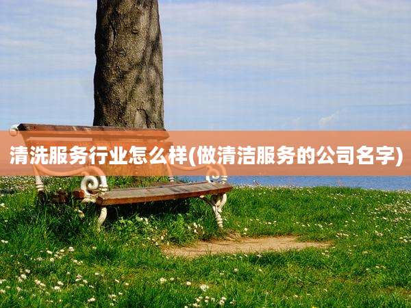 清洗服务行业怎么样(做清洁服务的公司名字)