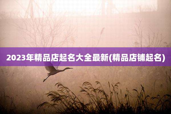 2023年精品店起名大全最新(精品店铺起名)