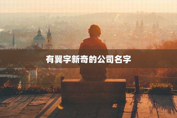 有翼字新奇的公司名字