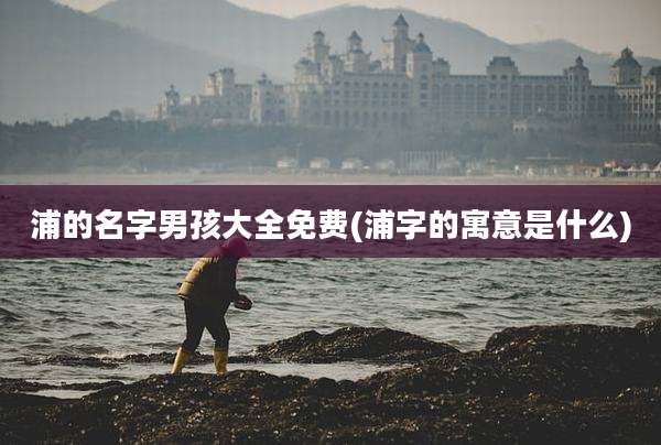 浦的名字男孩大全免费(浦字的寓意是什么)