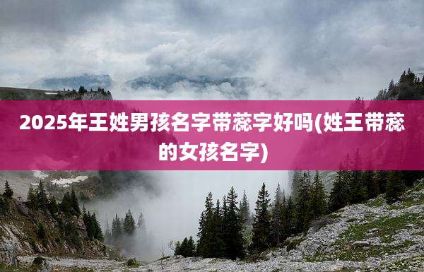 2025年王姓男孩名字带蕊字好吗(姓王带蕊的女孩名字)