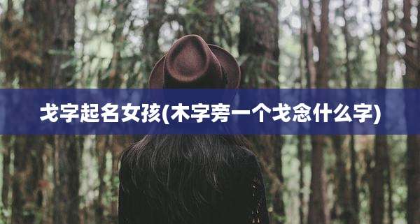 戈字起名女孩(木字旁一个戈念什么字)
