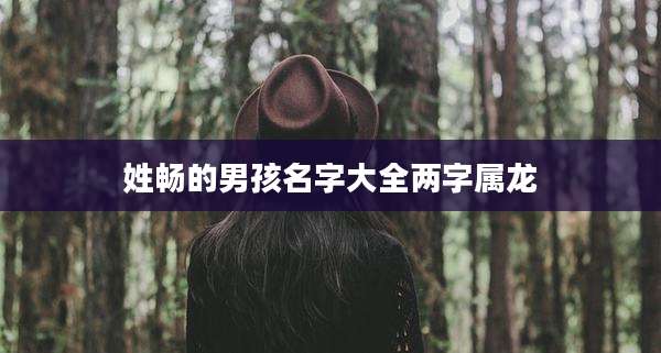 姓畅的男孩名字大全两字属龙