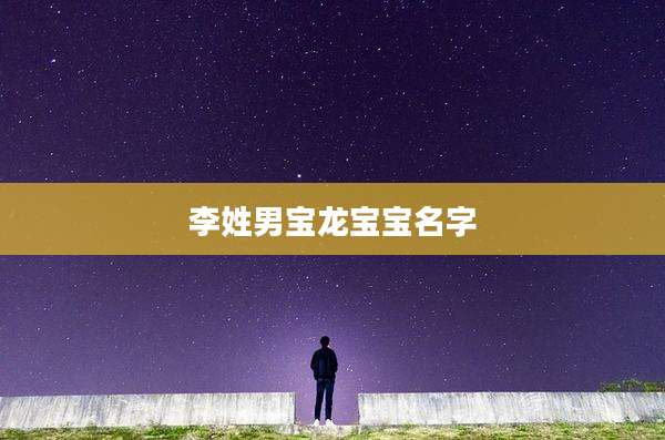 李姓男宝龙宝宝名字